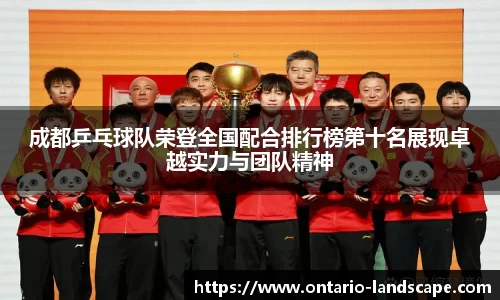 威廉希尔williamhill官方网站