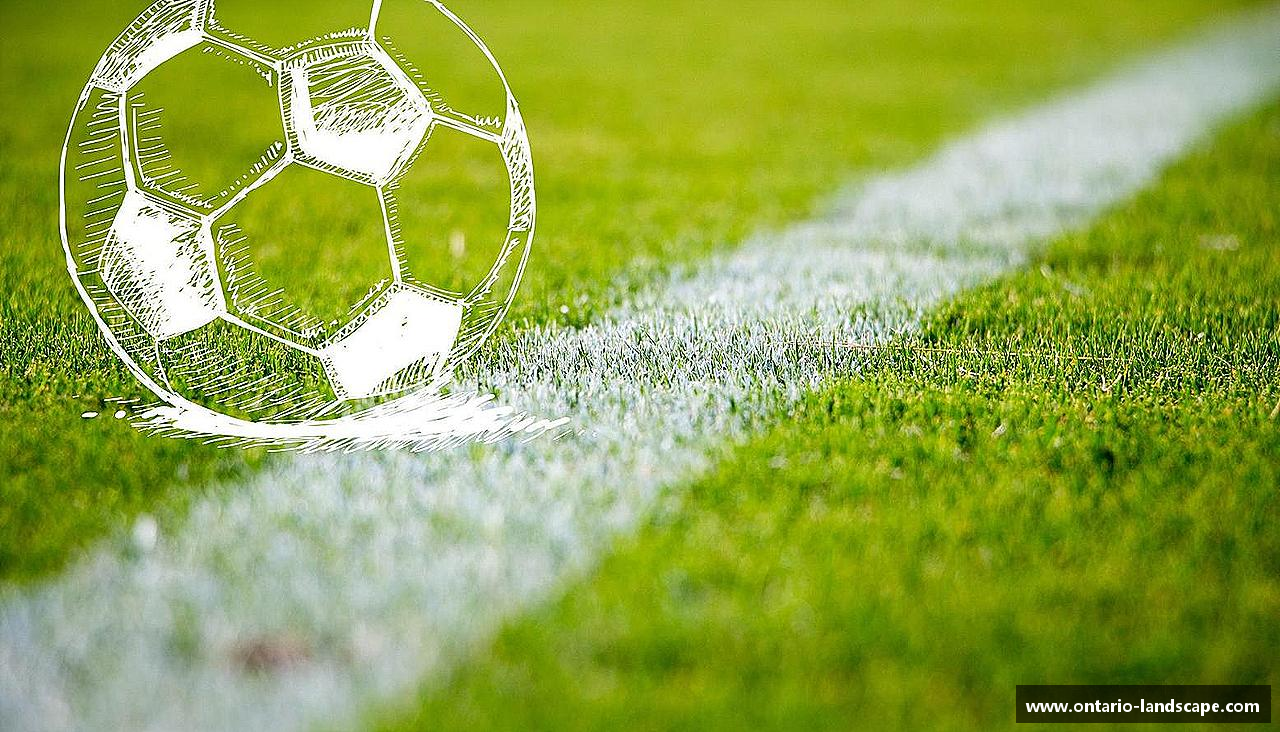 williamhill体育打破极限，挑战自我！